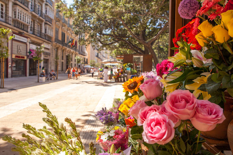 Malaga-streetview-9af22044.jpg