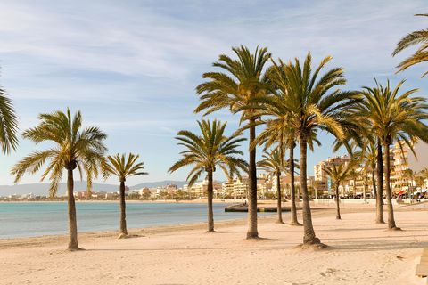 Mallorca het mediterrane paradijs met fantastisch 4*-hotel in Can Pastilla!