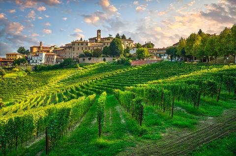 Ontdek het beste van Noord-Italië met onze wijnrondreis & Cinque Terre