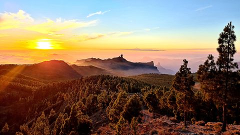 Gran Canaria Las Palmas met een unieke dagtrip naar het vulkanische hart van het eiland! 