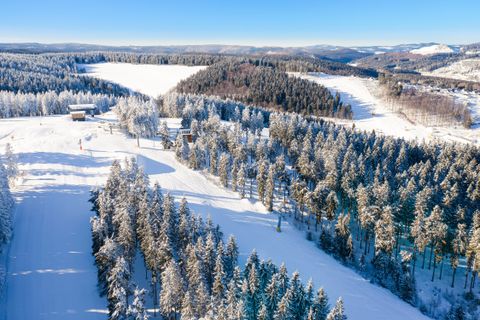 Winterplezier in prachtig Winterberg! 