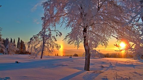 Winterplezier in prachtig Winterberg! 