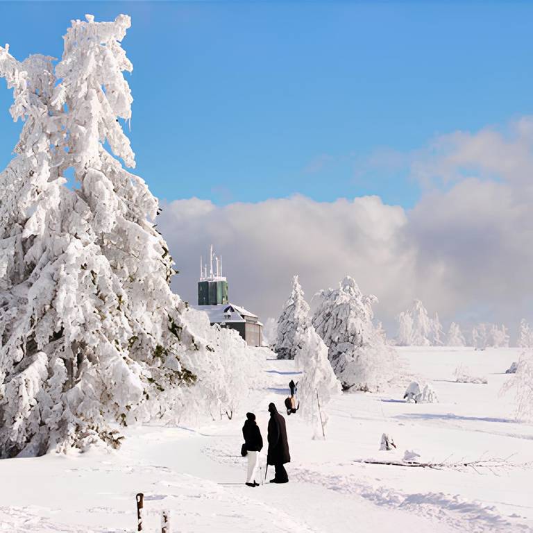 Sneeuw-in-de-Kahler-Asten-Winterberg.jpg