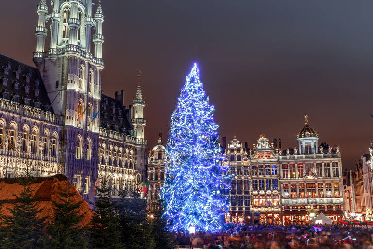 Brussel-kerstmarkt_1251812257.jpg