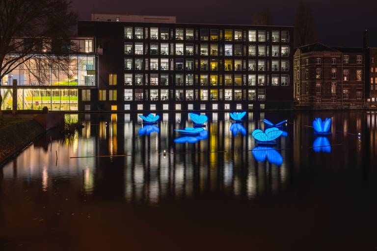 Amsterdam_lightfestival5.jpg