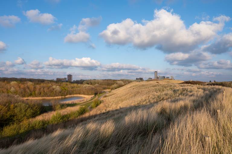 Vlissingen---Duinen-cf73609f.jpg