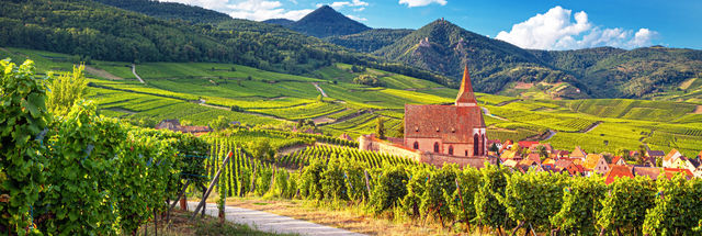 Ontdek de oudste wijnroutes van Frankrijk in de prachtige Elzas incl. 2 proeverijen