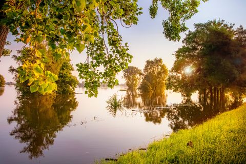 Ontdek veelzijdig Brabant, incl. een bezoek aan 'Kamp Vught'