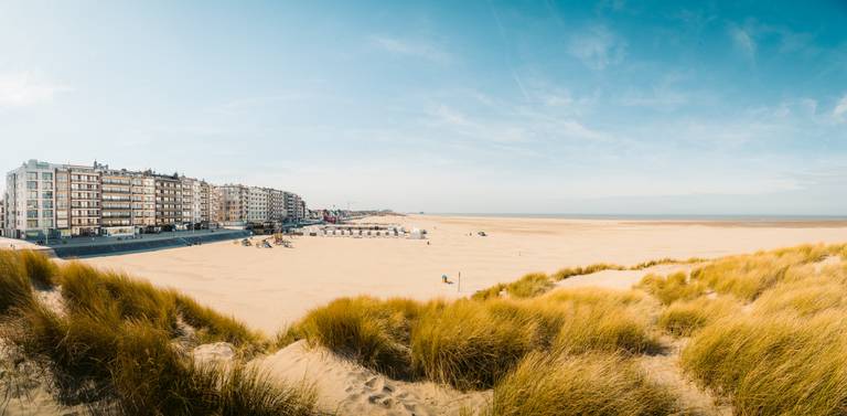 Belgie_Knokke_kust.jpg