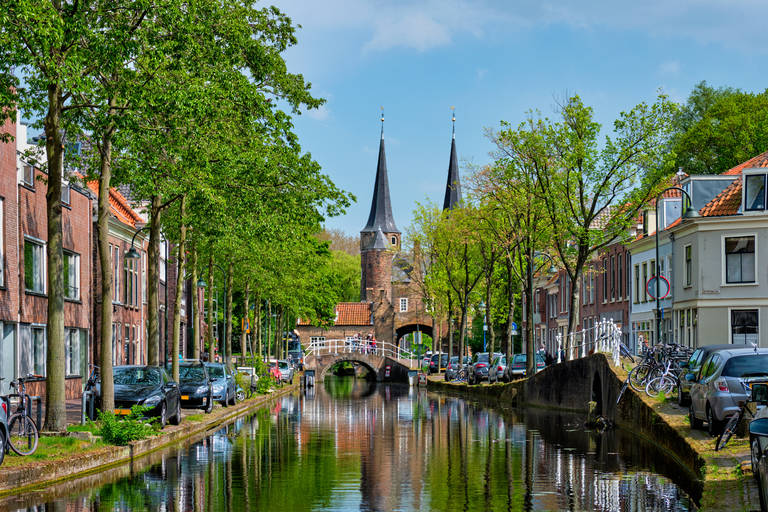 shutterstock_1964308612.jpg