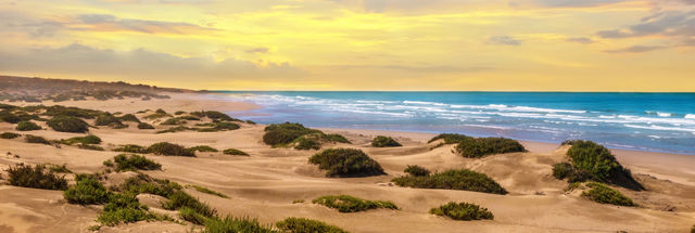 Avontuur aan de kust van Agadir met Atlasgebergte trip naar de natuurlijke oases!