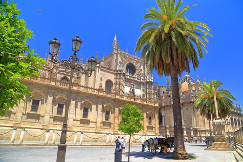 Ervaar het beste van Sevilla met een rondleiding door de iconische Kathedraal en de Giralda-toren