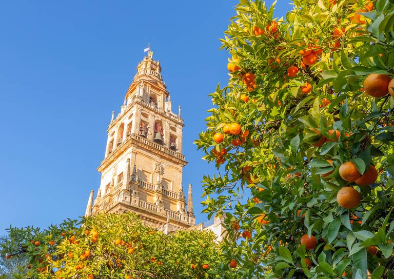 Giralda_Toren_Sevilla.jpg