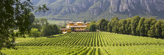 Trentino in Noord-Italië met UNESCO-landschappen, de mooiste bergtoppen vanuit 4*-boetiekhotel!