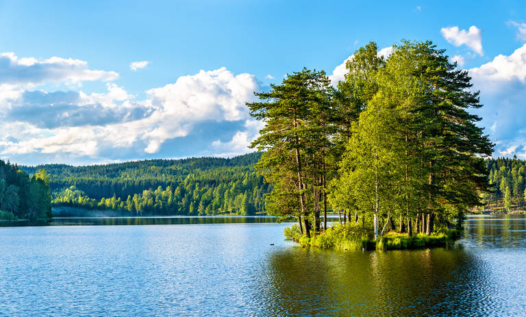 Sognsvann-lake-north---Oslo.jpg