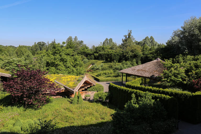 Tuin-zomer.jpg