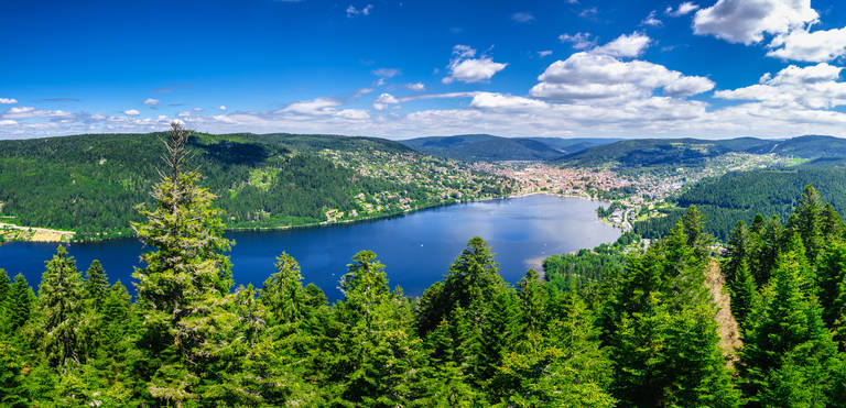 shutterstock_460085569.jpg