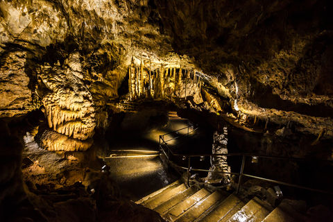 Bezoek de bijzondere Grotten van Han & het Wildpark vanuit luxe 4*-hotel in de Belgische Ardennen