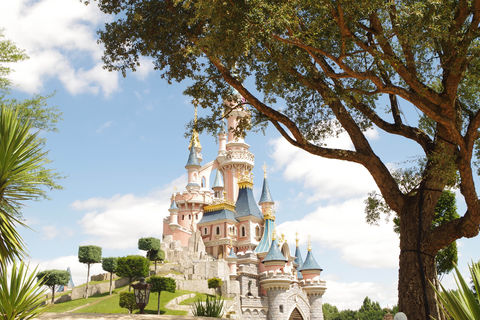 Stedentrip Parijs met ticket voor 1 dag in Disneyland® Paris