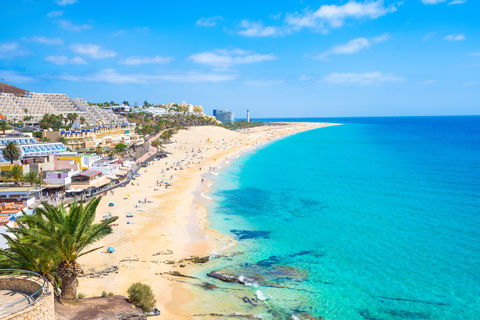 Heerlijke all inclusive vakantie op Fuerteventura met 4*-hotel + dolfijnen & walvissen spotten!