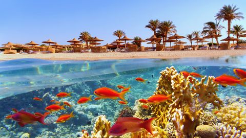 Heerlijke all-inclusive winterzonvakantie in Hurghada aan de Rode Zee