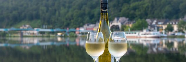Verken de Moezel wijnstreek vanuit Trier inclusief stadswandeling met gids & wijnproeverij!