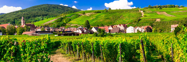 Verblijf in luxe 4*-hotel in Molsheim aan de beroemde wijnroute van de Elzas, inclusief wijnproeverij!