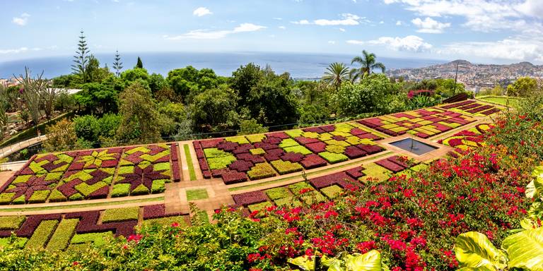 Madeira_botanische-tuinen.jpg