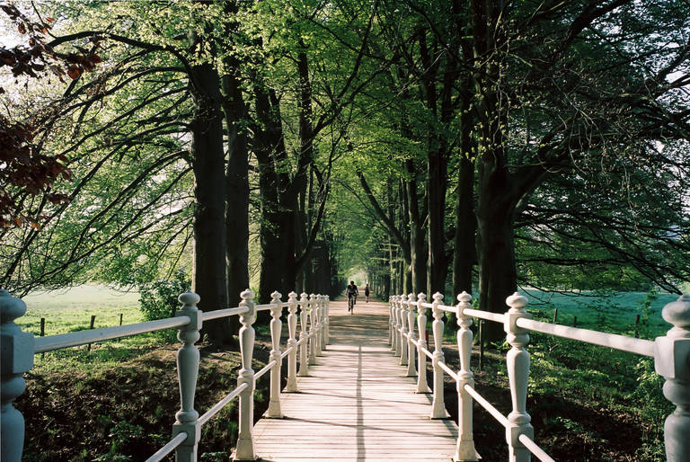 Valkenburg_natuur-1156559425.jpg