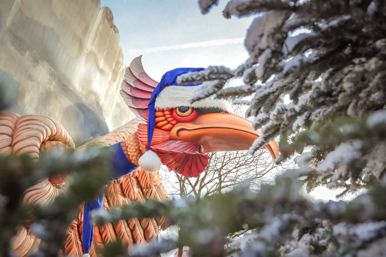 Efteling---Attractie-2.jpg