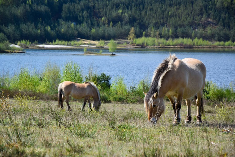shutterstock_1070691431.jpg