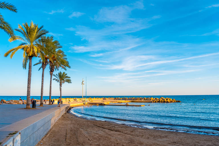 Spain_Torrevieja1824384608.jpg