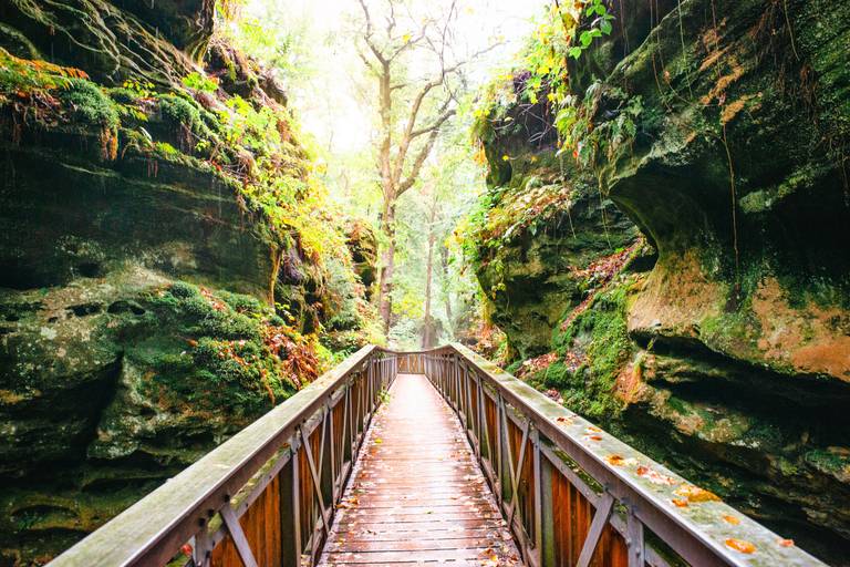 Luxemburg_wandelen_natuur-4d62ebfa.jpg