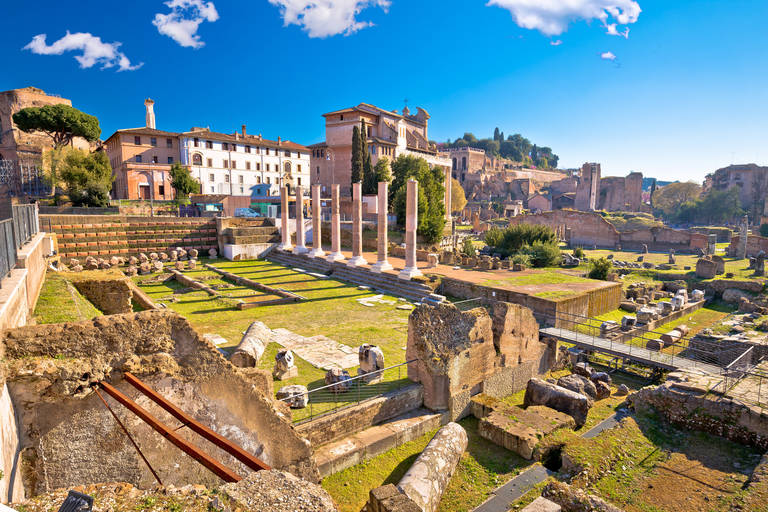 Rome_Rome-Forum-Romanum-and-Palatine1412652218.jpg