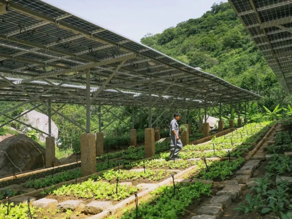 Six Senses Douro Valley – Portugal Sustainability & Environment